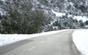 ΚΕΝΤΡΙΚΟ ΖΑΓΟΡΙ