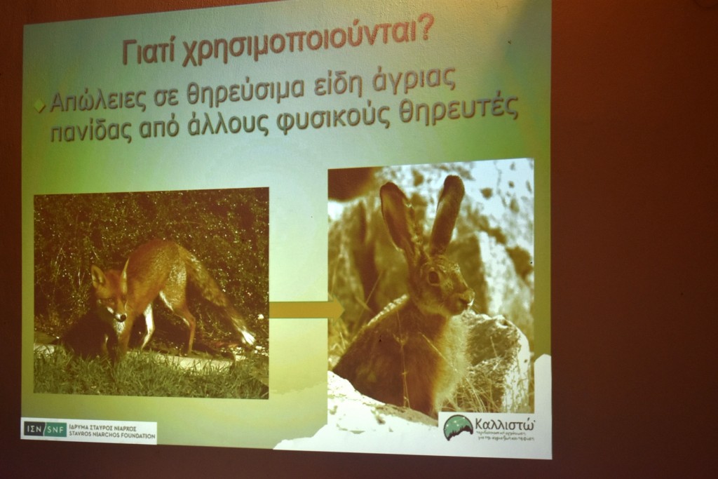 Εικόνα 014