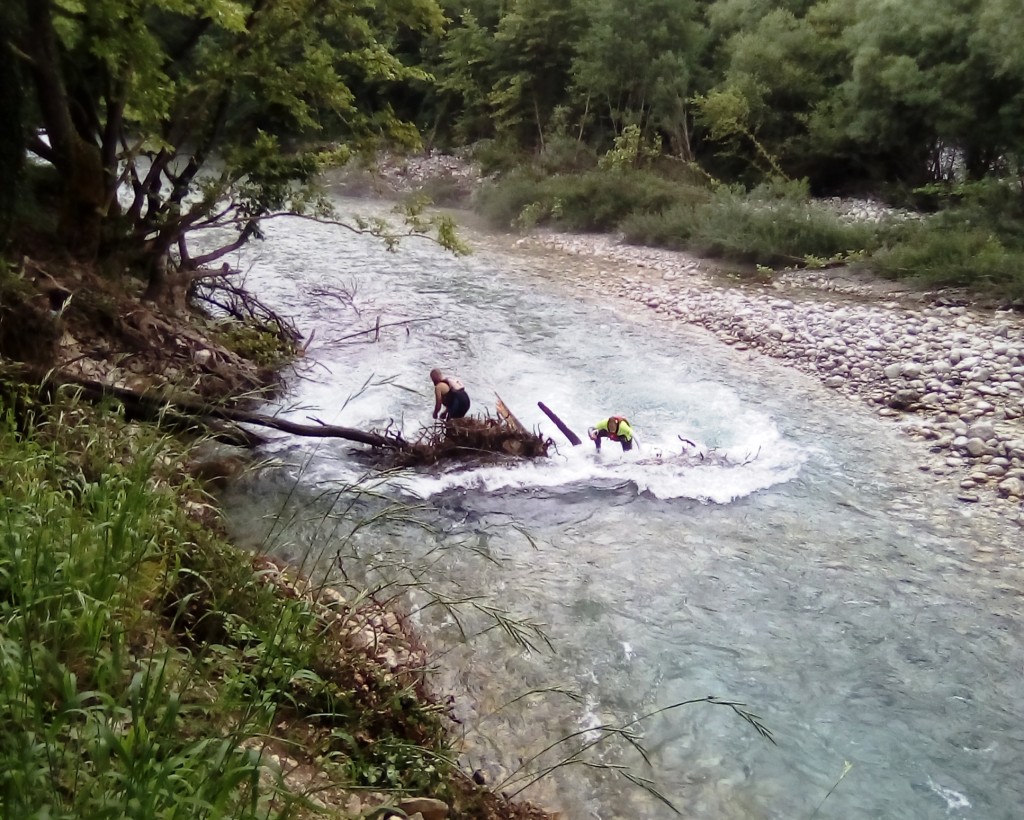 ΚΑΘΑΡΙΣΜΟΣ ΒΟΙΔΟΜΑΤΗ