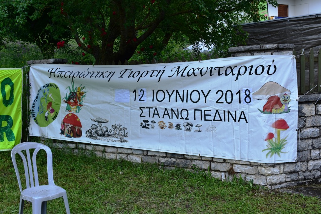ΠΑΝΟ ΜΑΝΙΤΑΡΙΑ