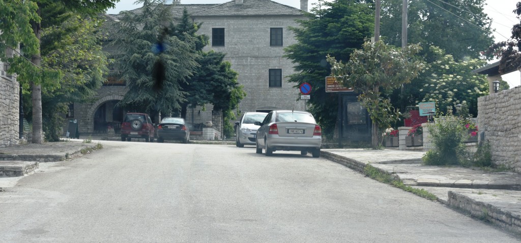 ΜΟΝΟΔΕΝΔΡΙ